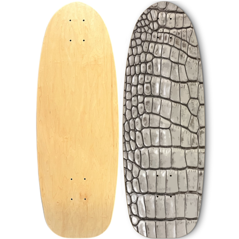 CONCRETE CROC + SKATEBOARD