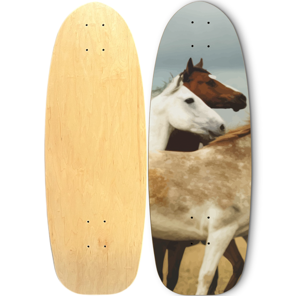 COUNTRYSIDE + SKATEBOARD