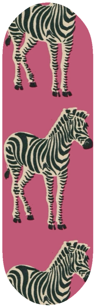 SAFARI ZEBRA